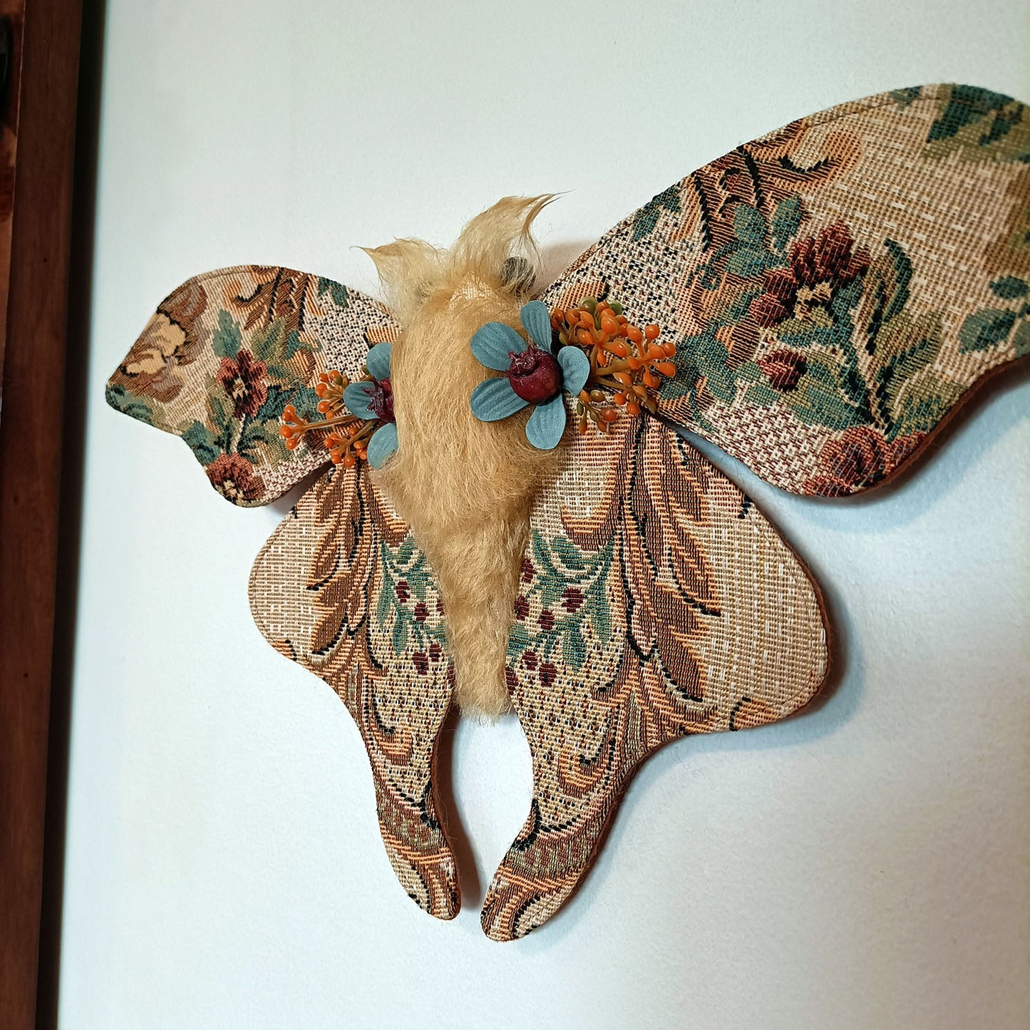 Cassiopeia Moth - 36cm/14in