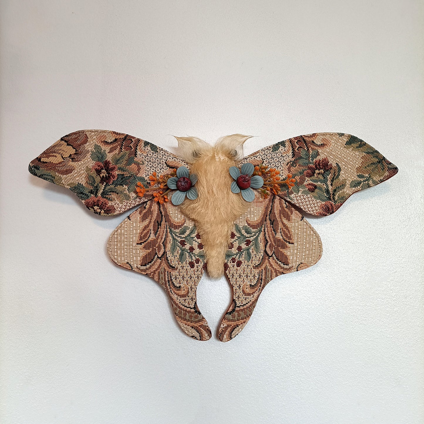 Cassiopeia Moth - 36cm/14in
