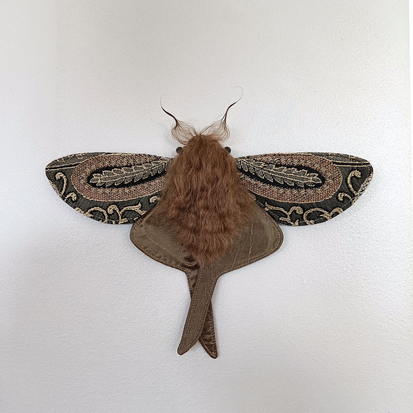 Gaze Moth - 26cm/10in
