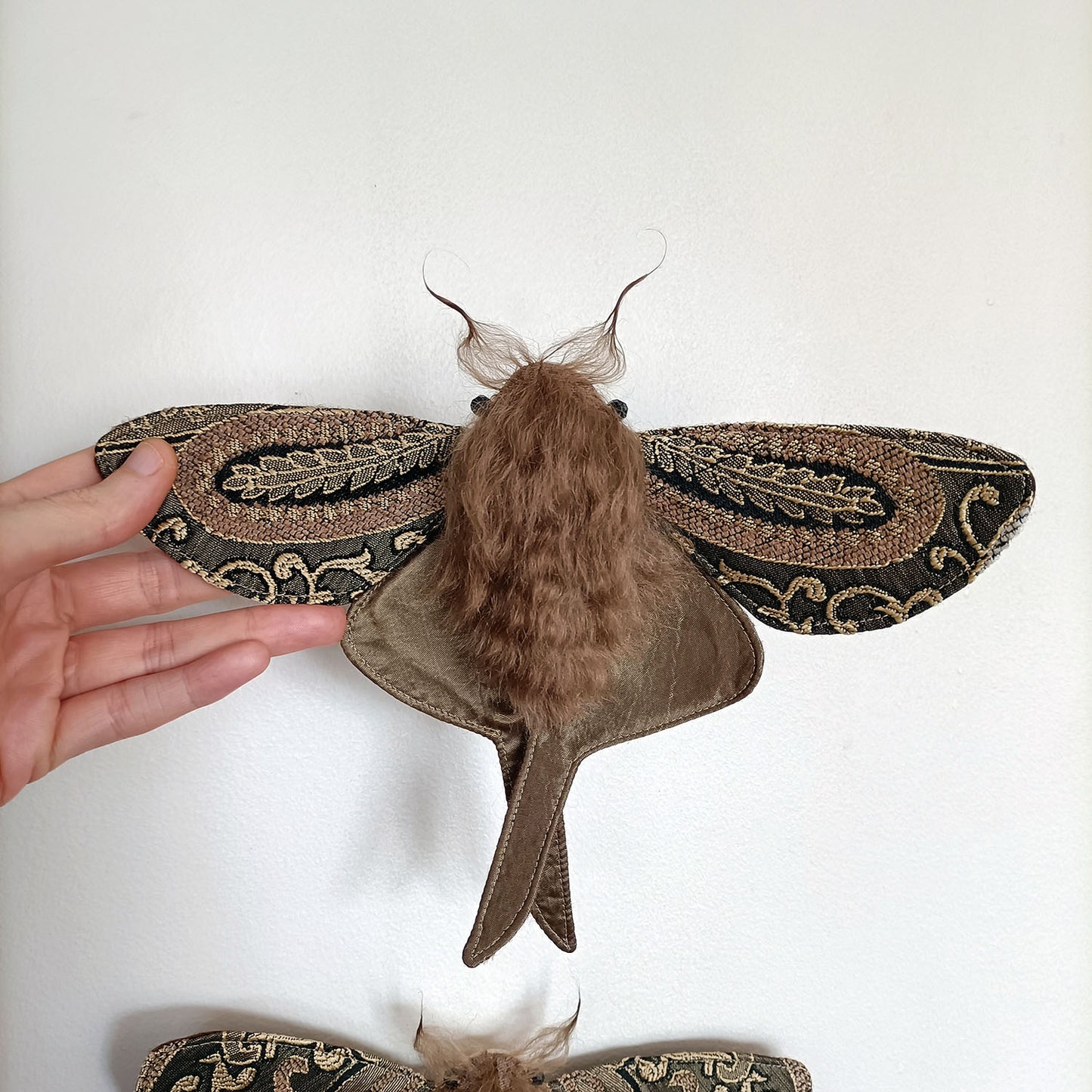 Gaze Moth - 26cm/10in