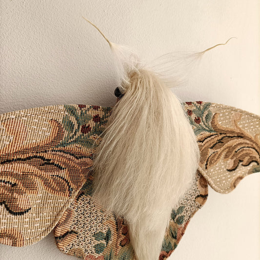 Katherine Moth decoration - 34cm/13.4in