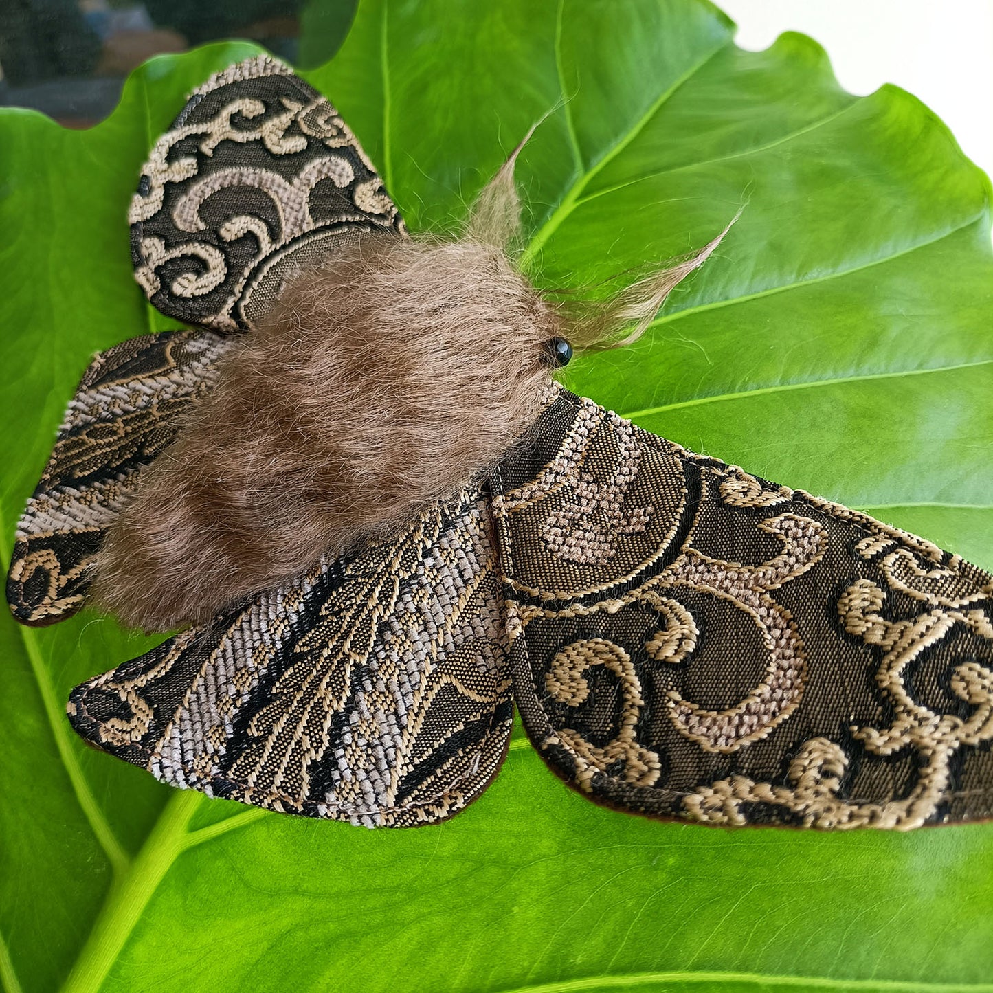 Mesmer Moth - 26cm/10in