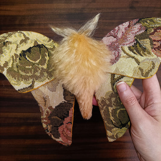 Tapestry Moth