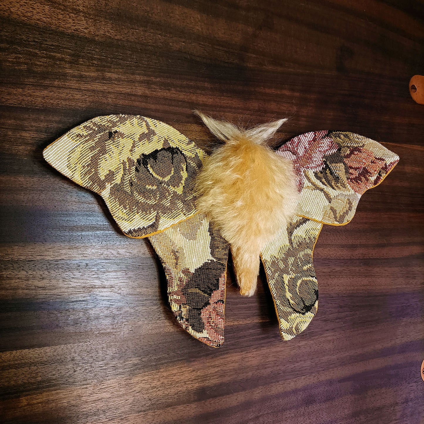 Tapestry Moth