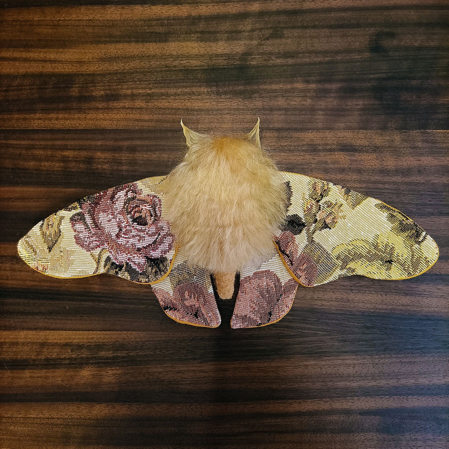 Tapestry Moth