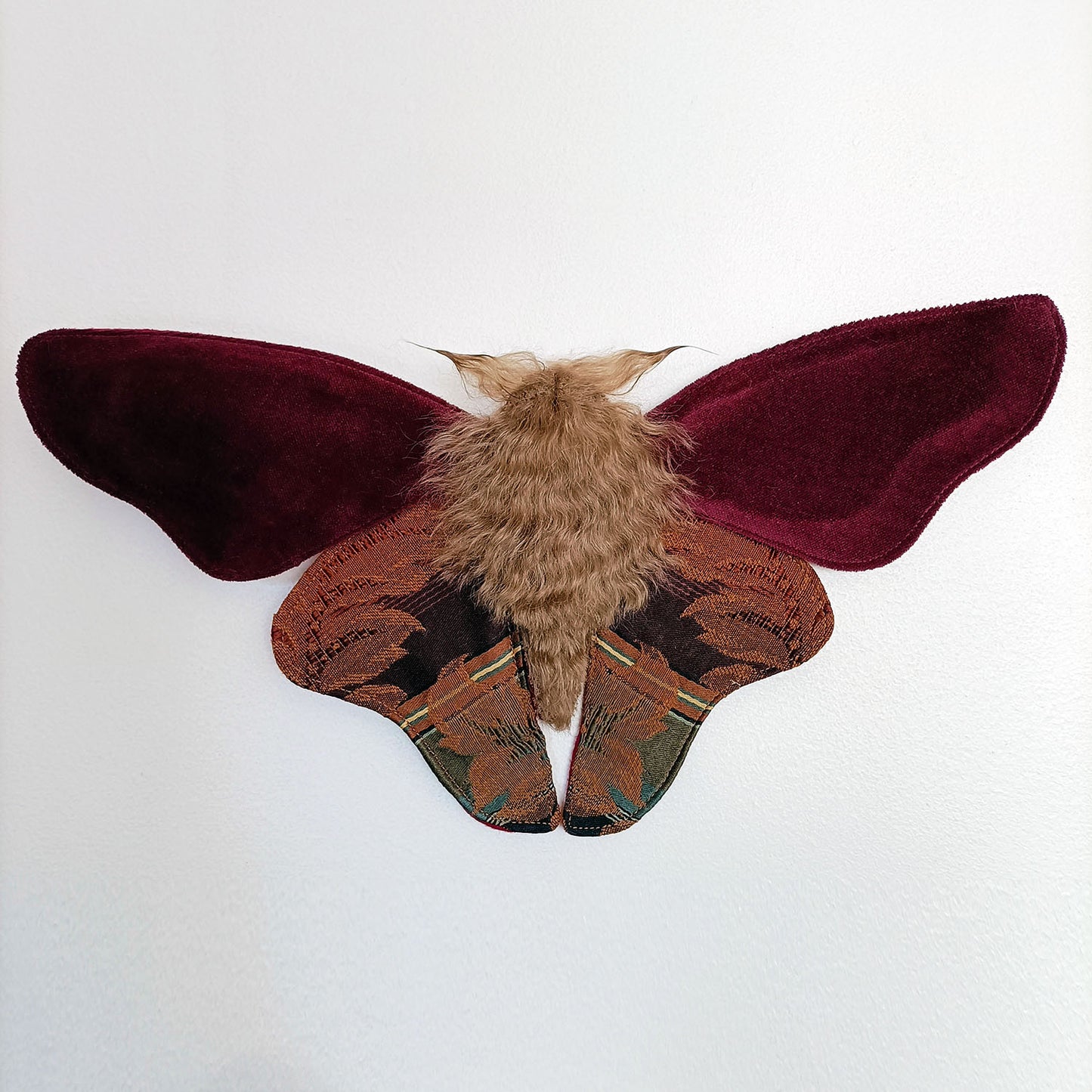 Mulled Wine Moth