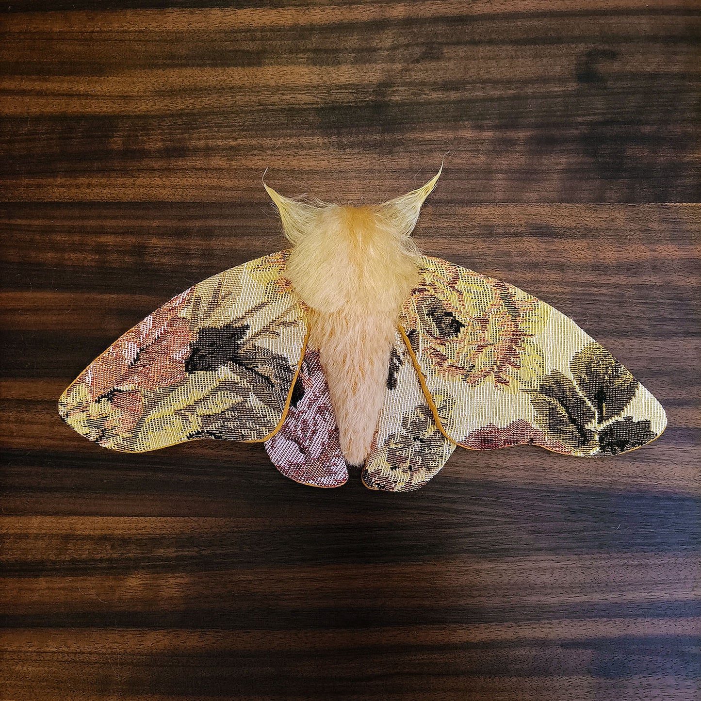 Tapestry Moth