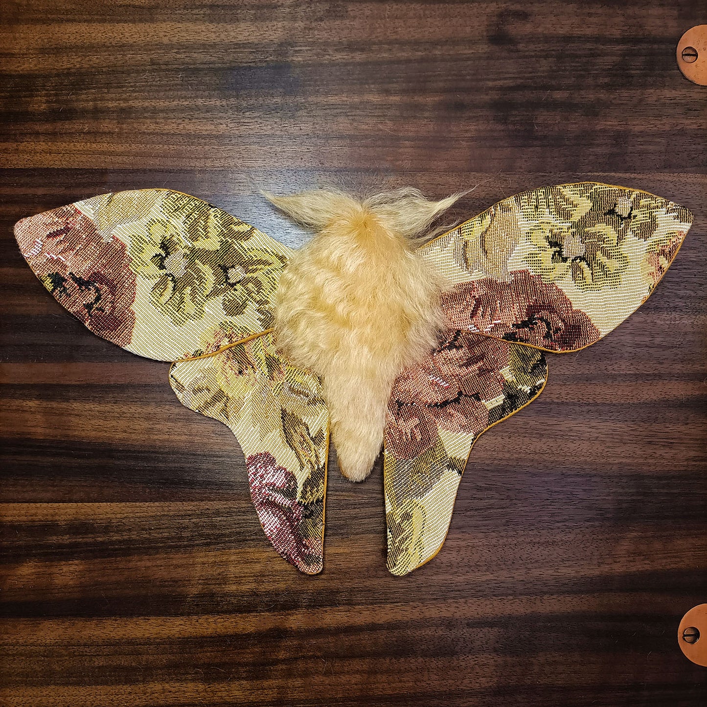 Tapestry Moth
