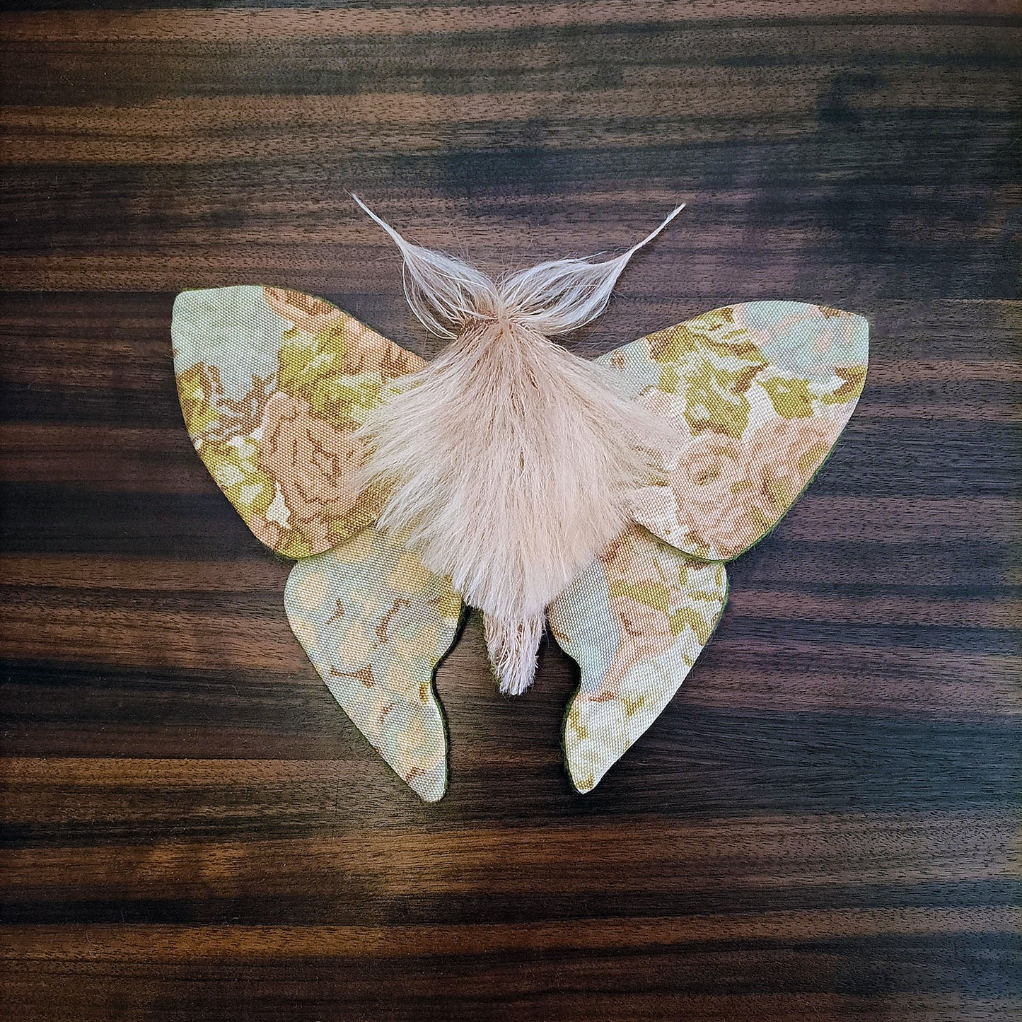 Pastel Moth