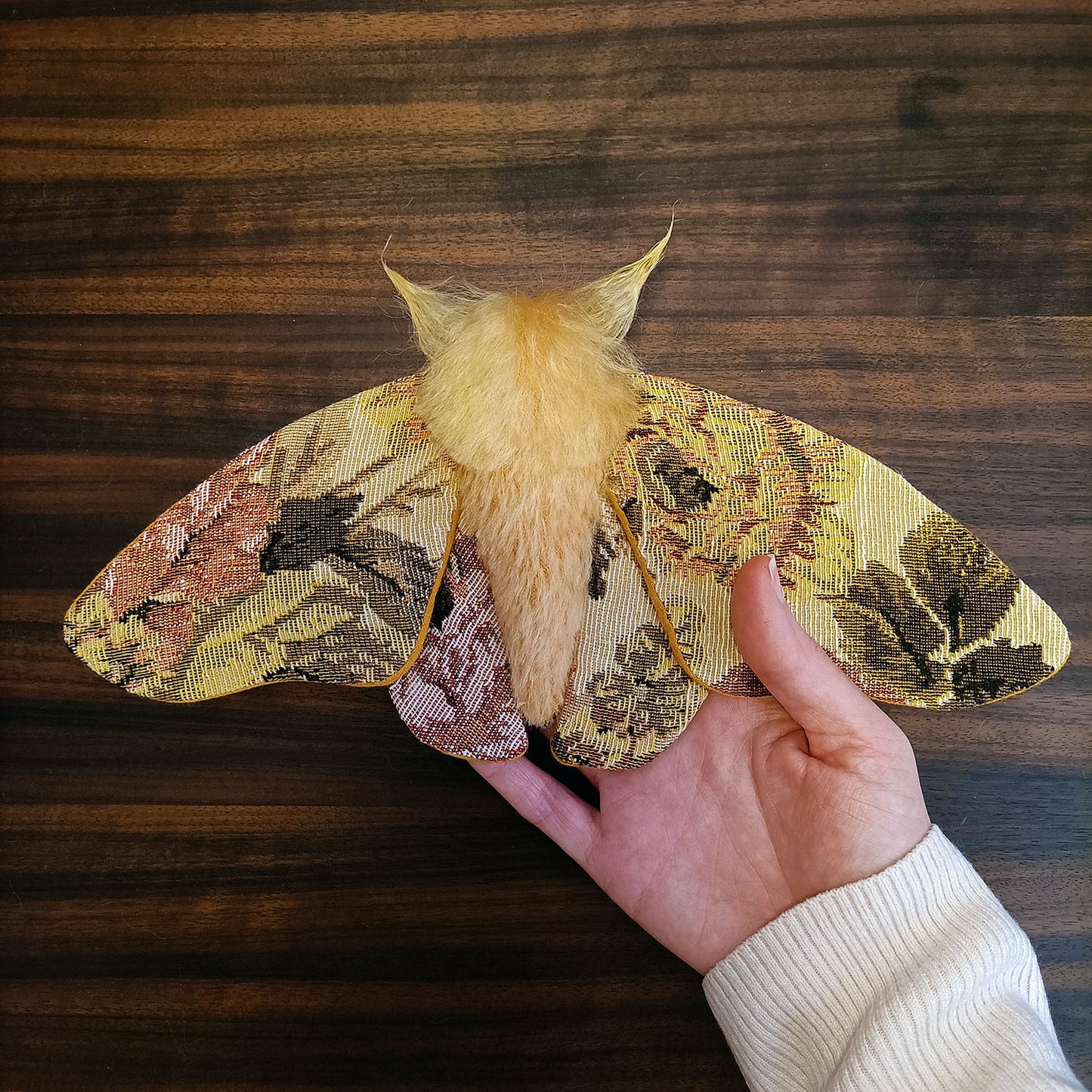Tapestry Moth