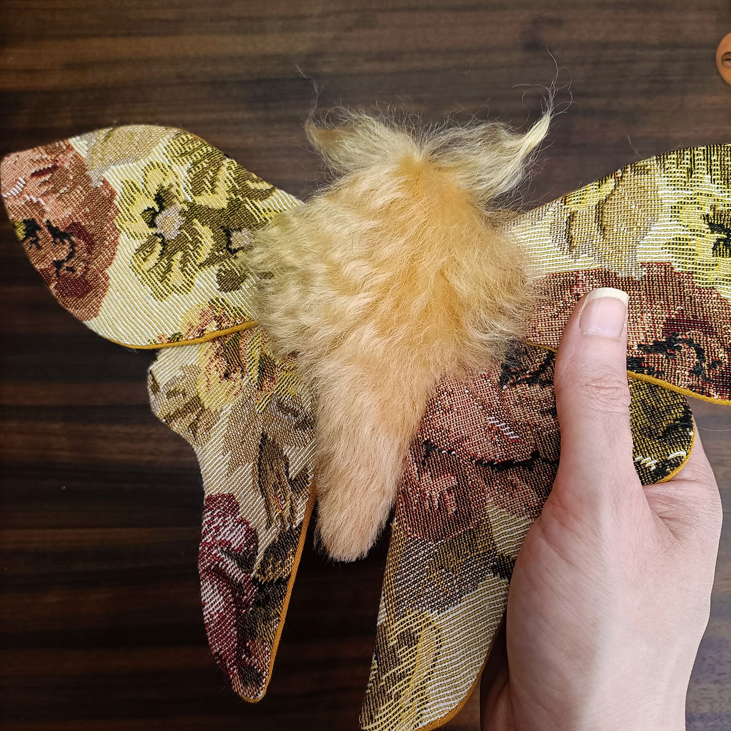 Tapestry Moth