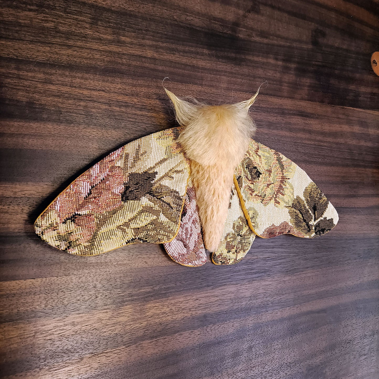 Tapestry Moth