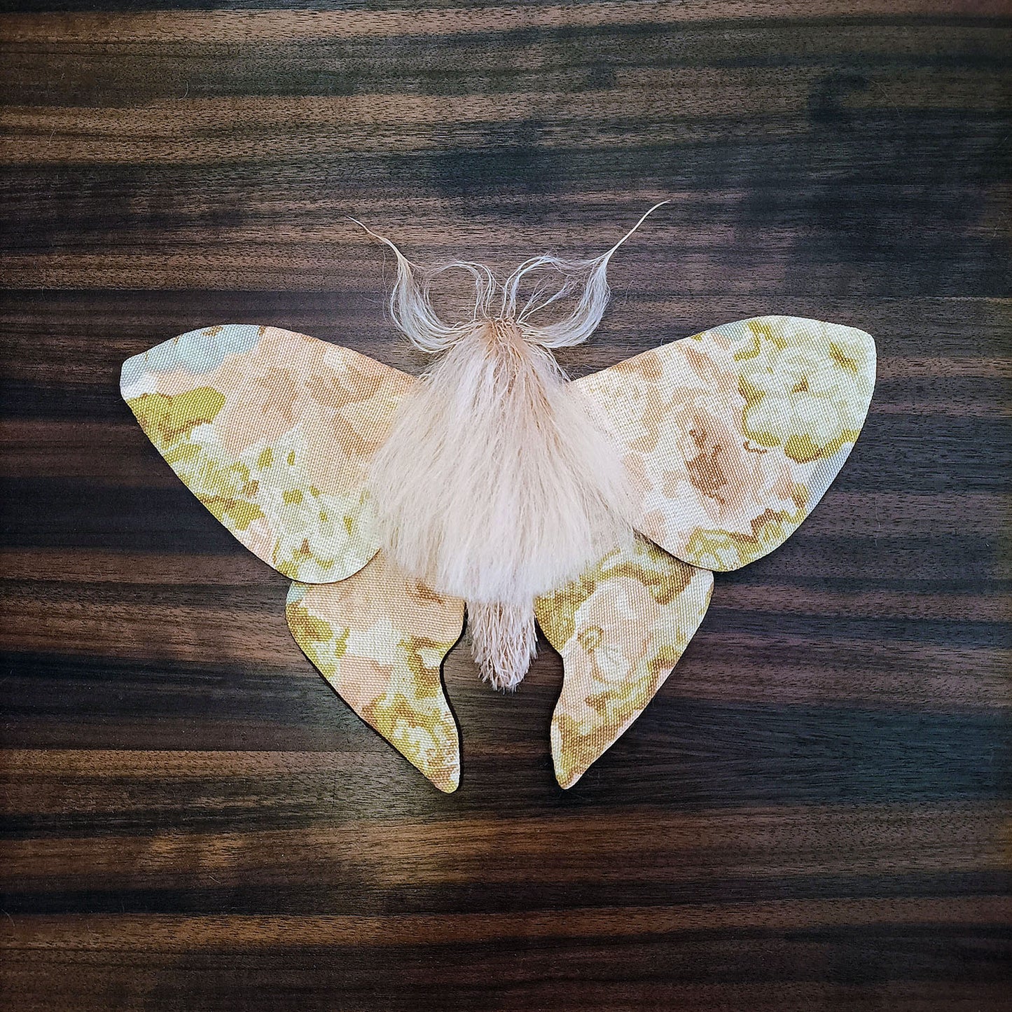 Pastel Moth
