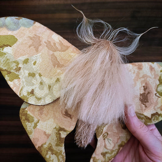 Pastel Moth - 26cm/10in