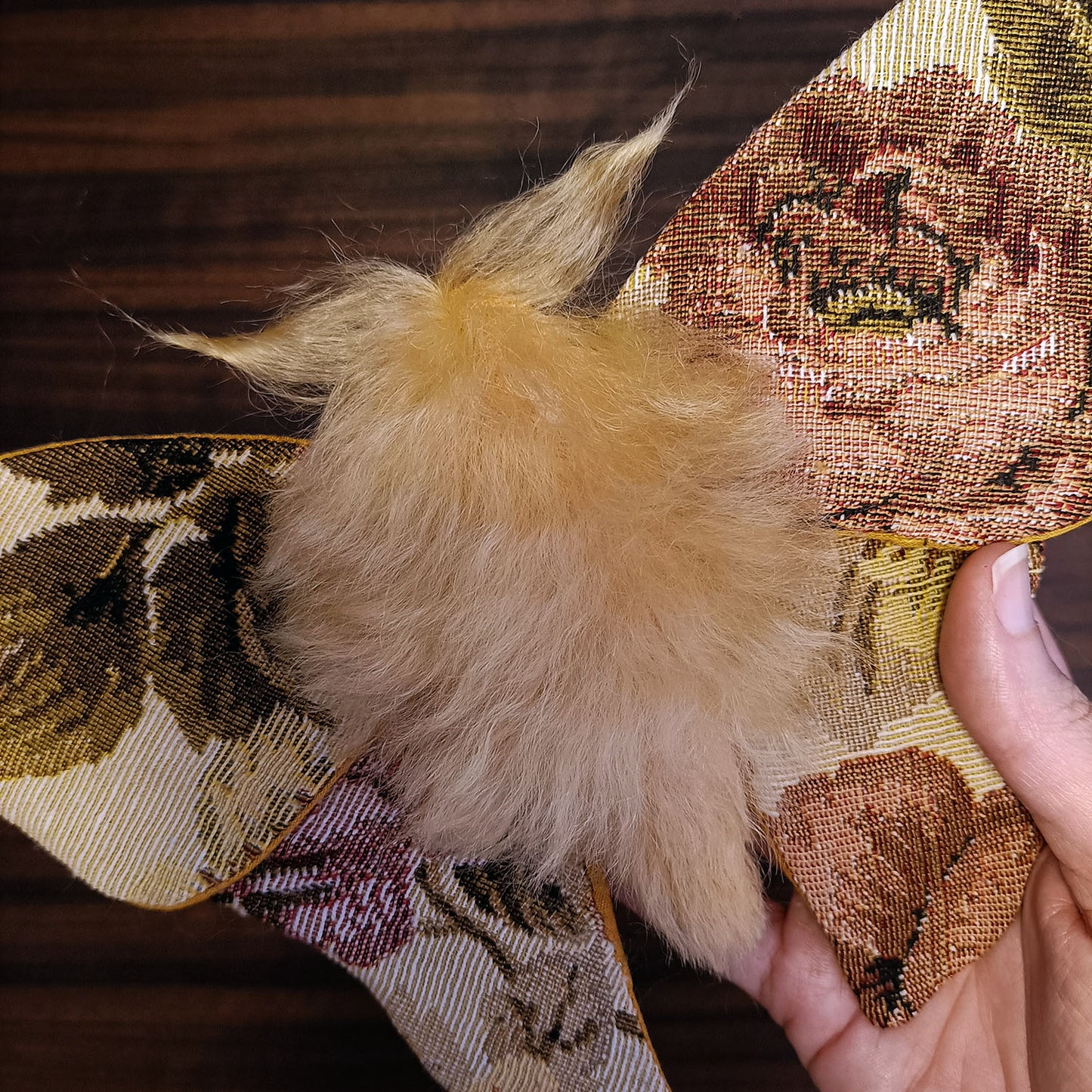 Tapestry Moth