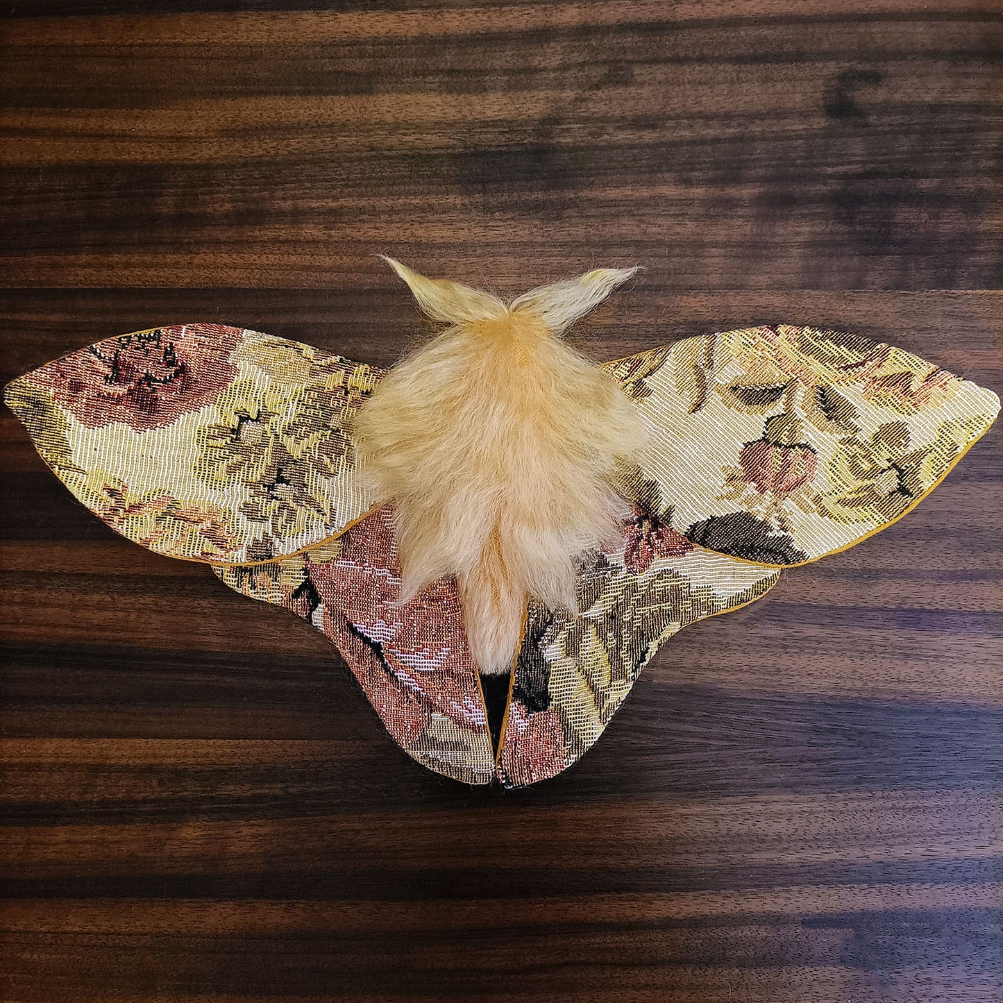 Tapestry Moth