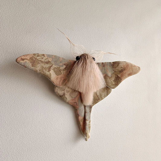 Pastel Moth - 26cm/10in