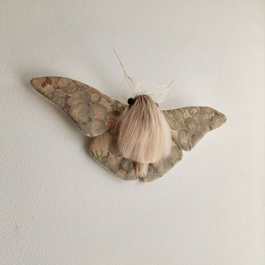Pastel Moth - 26cm/10in