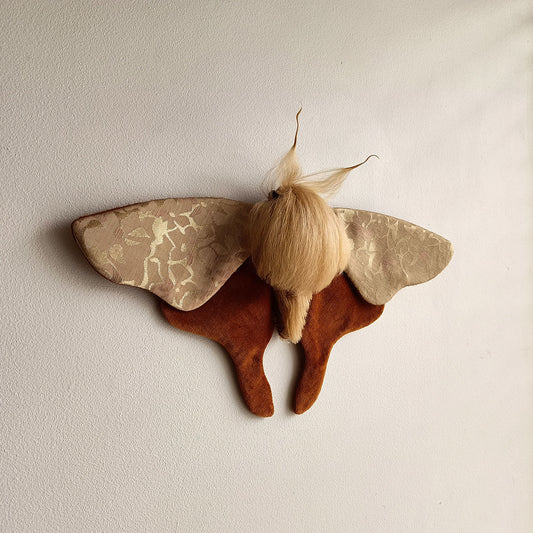 Jaqueline Moth decoration - 33cm/13in