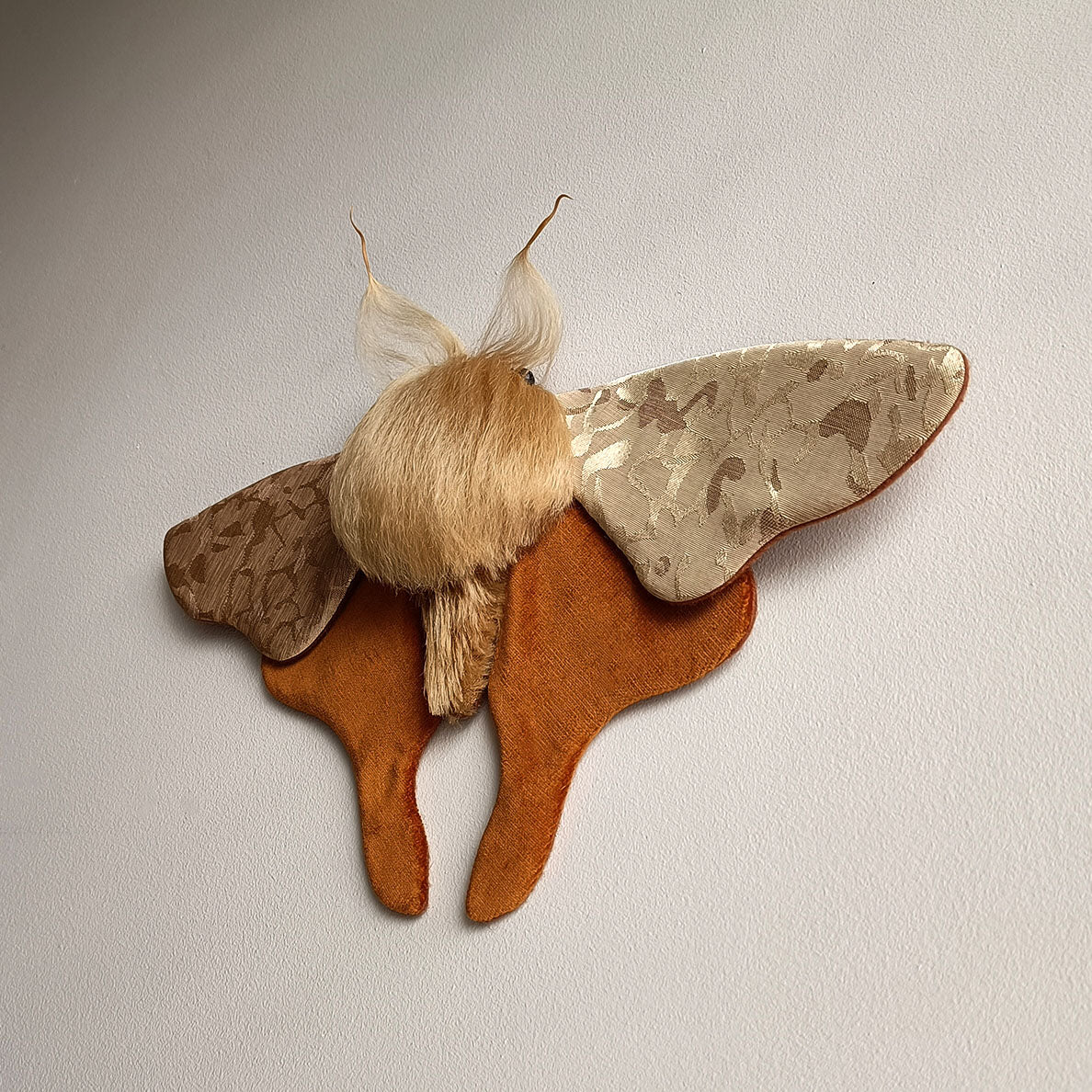 Jaqueline Moth decoration - 33cm/13in