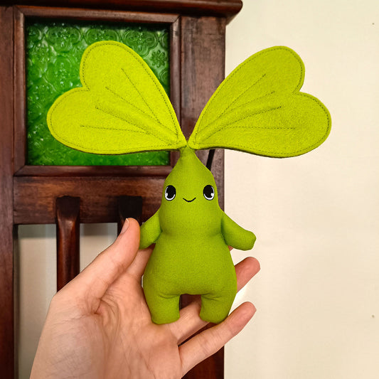 12cm Sprout - Oxalis