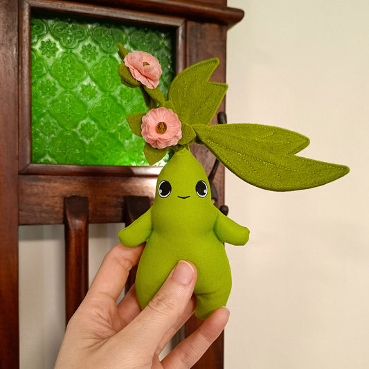 12cm Sprout - Escallonia