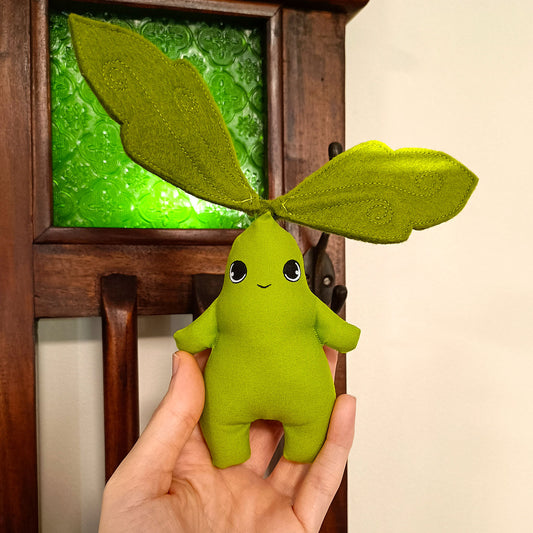 12cm Sprout - Benjamina