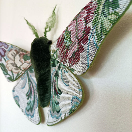 Winter Garden Moth - 26cm/10in