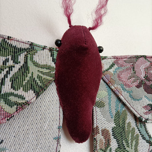 Winter Garden Moth - 26cm / 10in