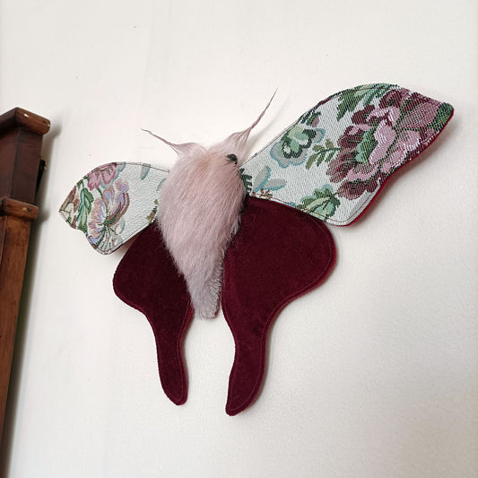 Winter Garden Moth - 36cm/14in