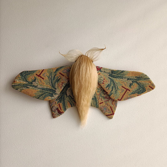 Bugle Boy Moth #2/2 decoration - 41cm/16in