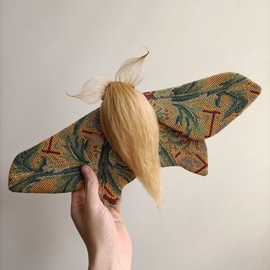 Bugle Boy Moth #2/2 decoration - 41cm/16in