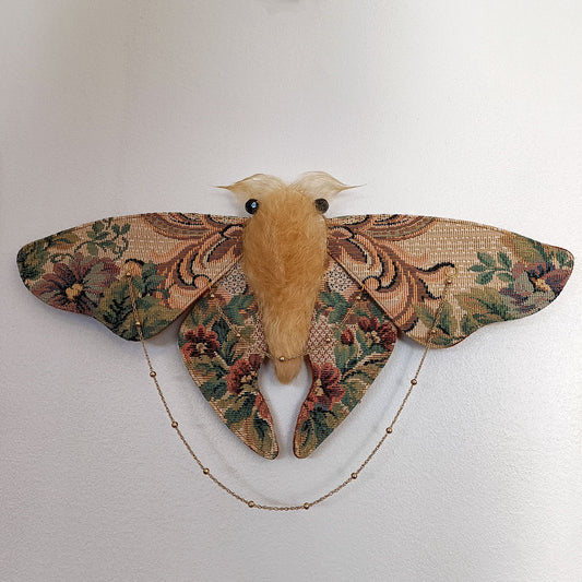 Calliope Moth - 36cm/14in