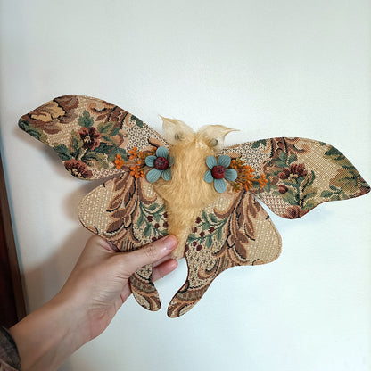 Cassiopeia Moth - 36cm/14in