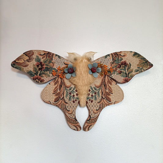 Cassiopeia Moth - 36cm/14in