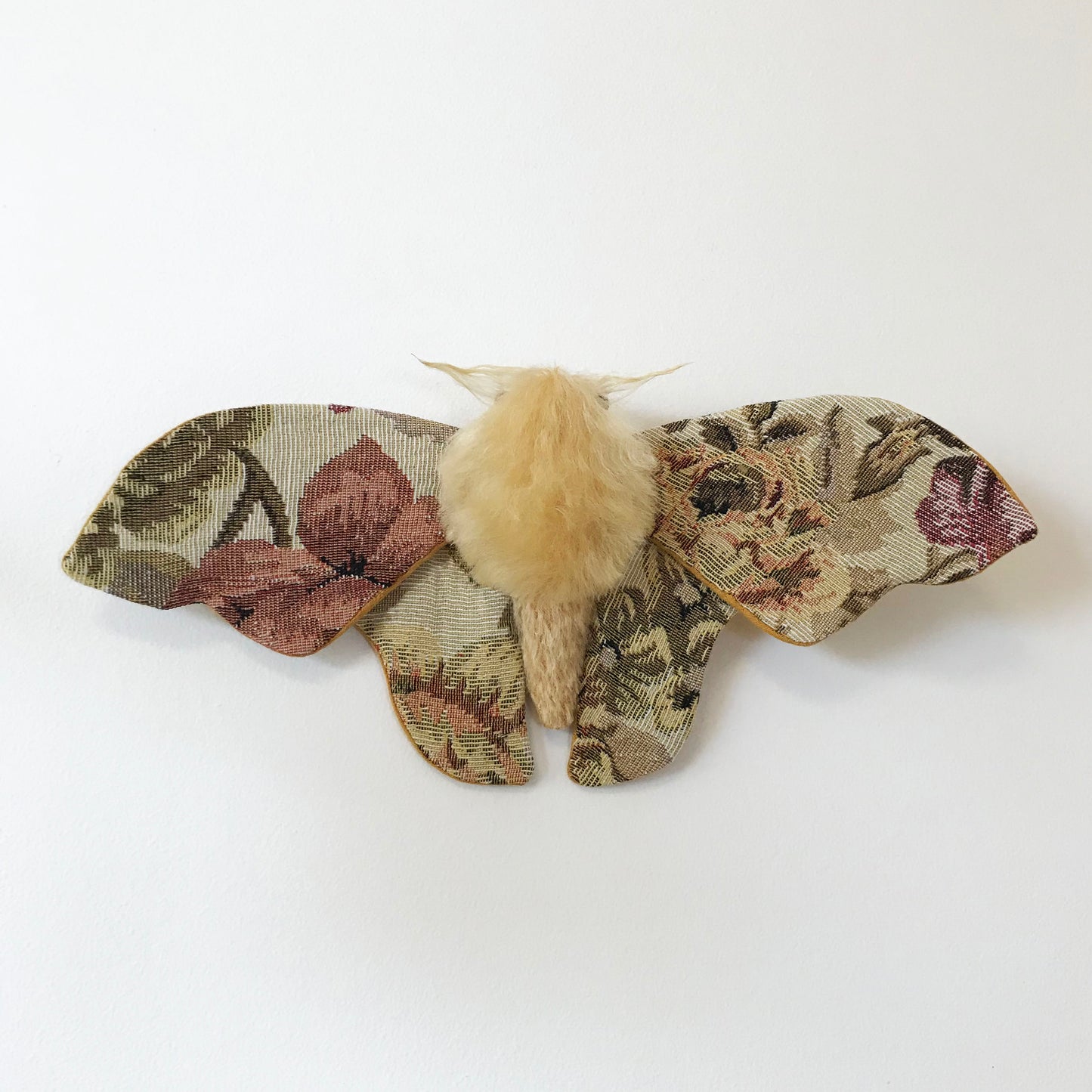 Tapestry Moth