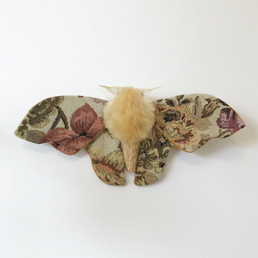 Tapestry Moth