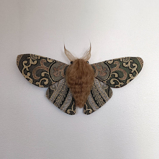 Mesmer Moth - 26cm/10in