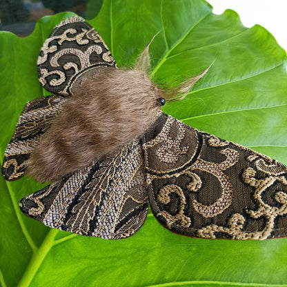 Mesmer Moth - 26cm/10in