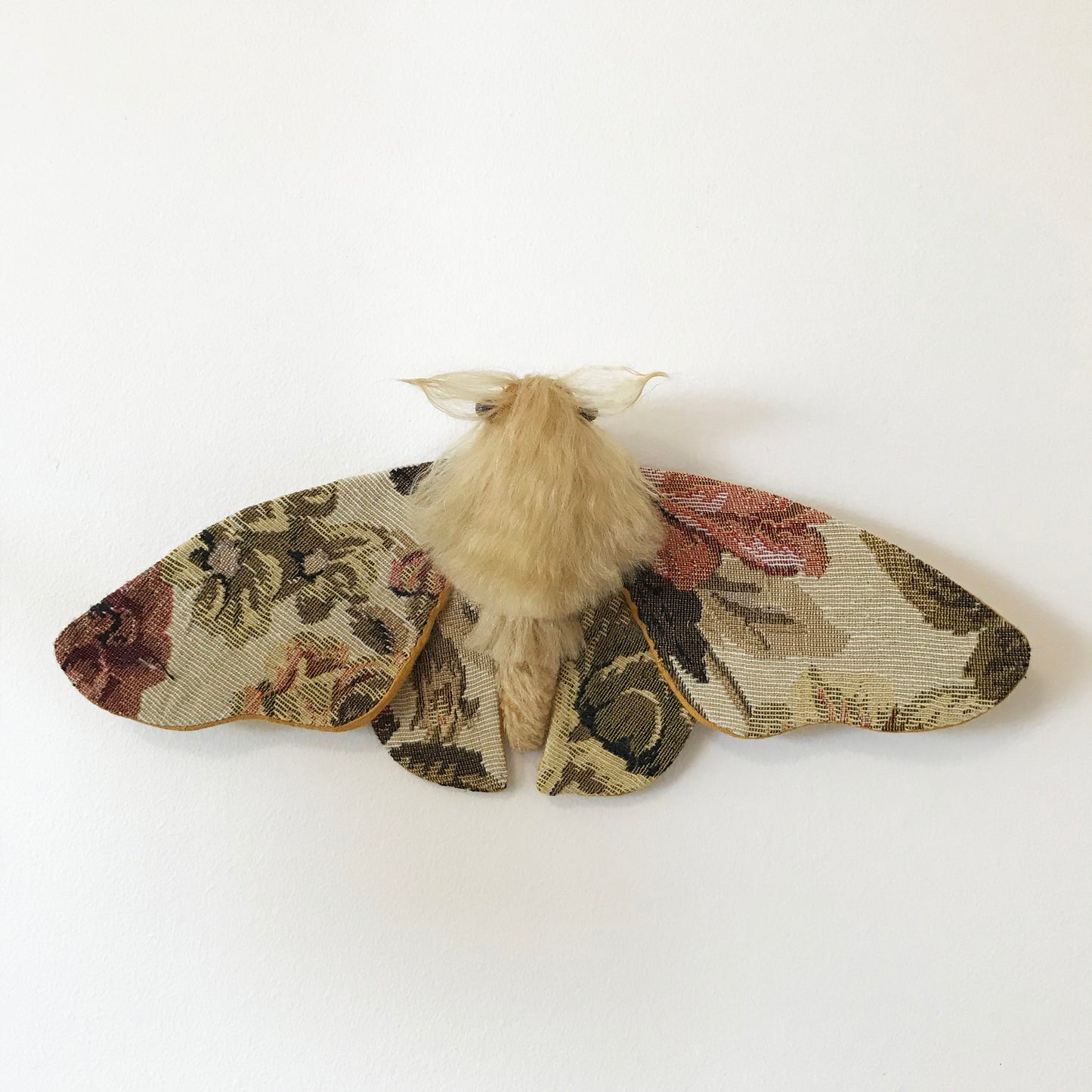 Tapestry Moth