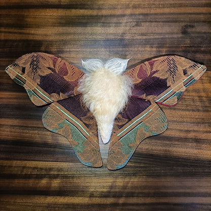 Mulled Wine Moth