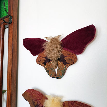 Mulled Wine Moth