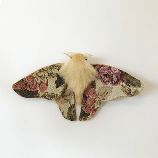 Tapestry Moth