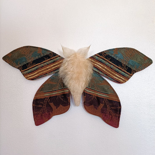 Mulled Wine Moth