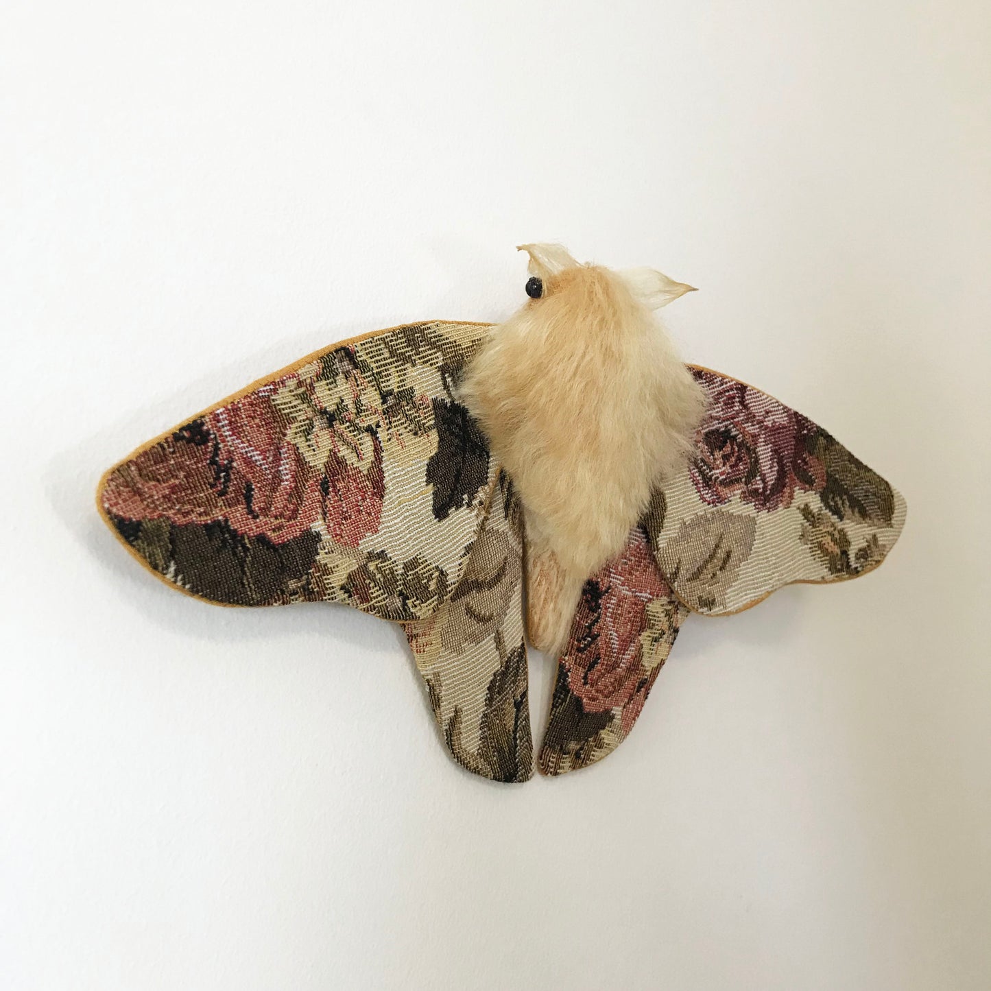 Tapestry Moth