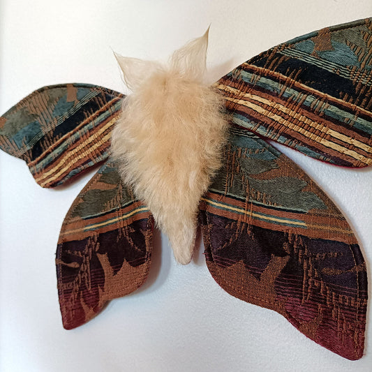 Mulled Wine Moth