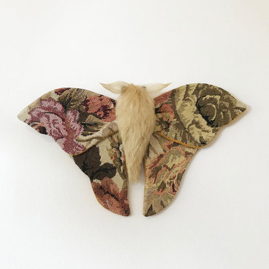 Tapestry Moth