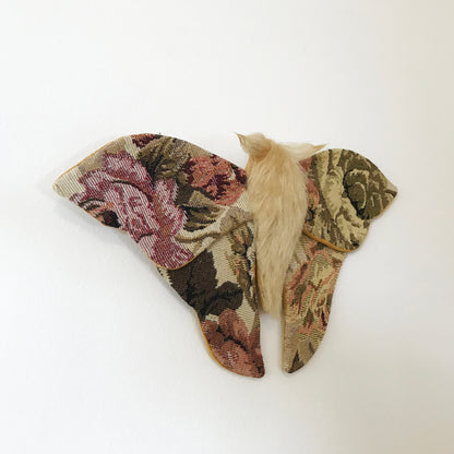 Tapestry Moth