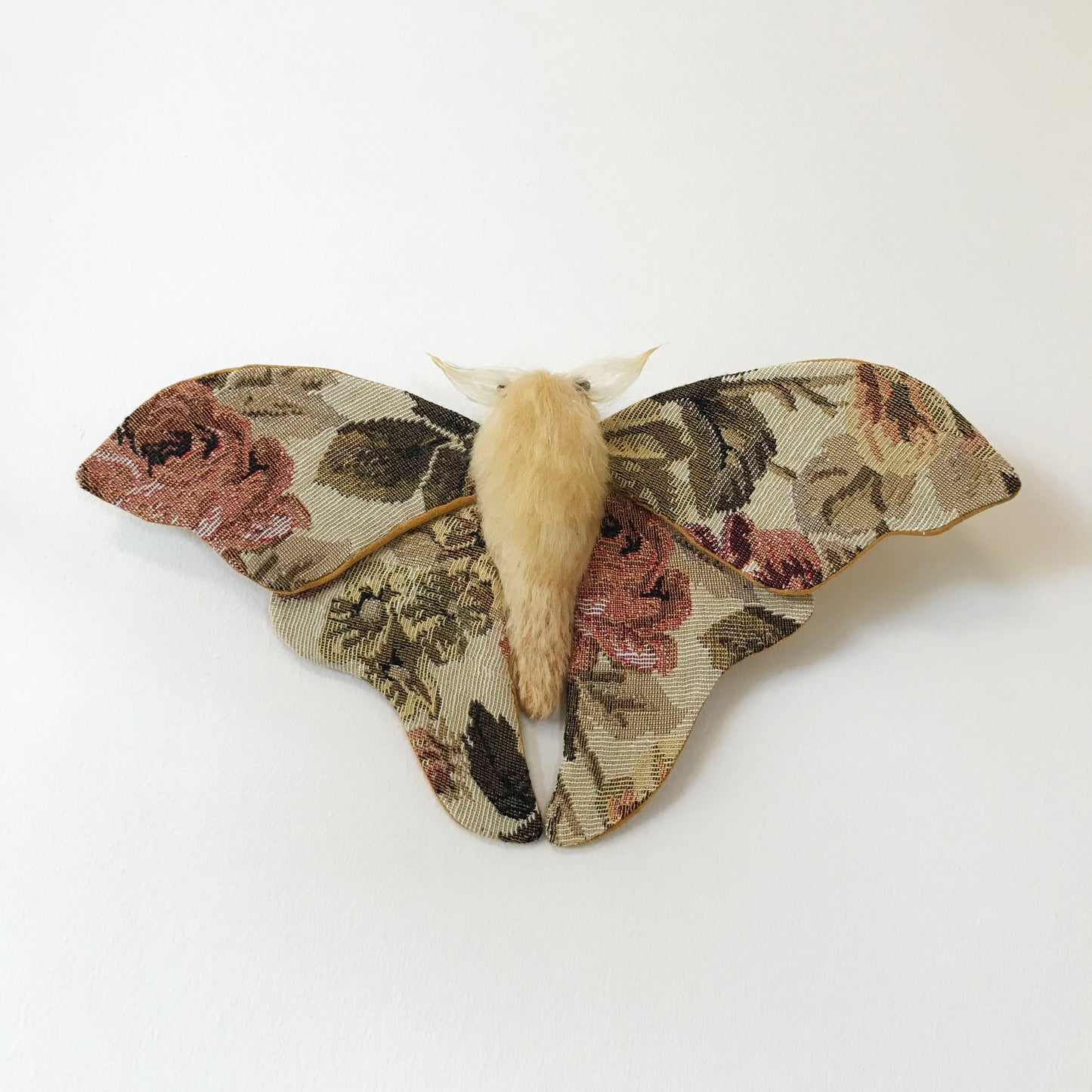 Tapestry Moth