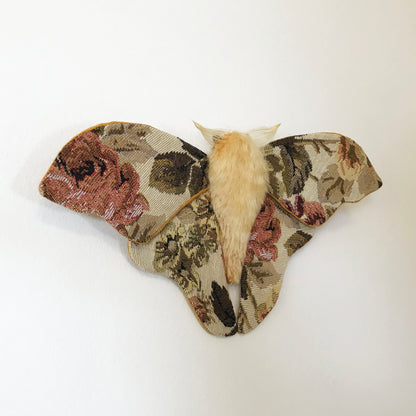 Tapestry Moth